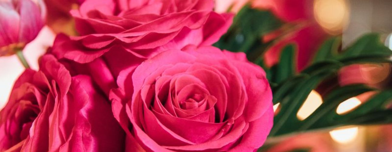 photo-b1a9bb1d-8194-4d0b-a189-10f2a7a4d38e